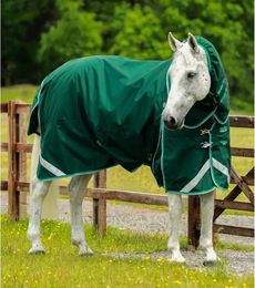 Premier Equine Buster Wasserdichte Outdoor-Pferdedecke mit Halsteil in Grün - 200 g – Bild 1 von 5