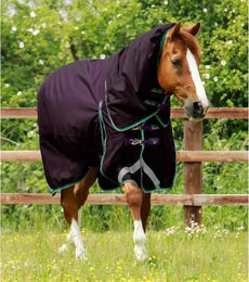 Premier Equine Buster Wasserdichte Outdoor-Pferdedecke mit Halsteil in Lila - 200 g – Bild 1 von 5