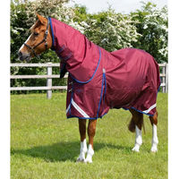 Produktbild von Premier Equine Buster Wasserdichte Outdoor-Pferdedecke mit Halsteil in Rot