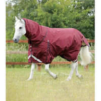 Produktbild von Premier Equine Buster Wasserdichte Outdoor-Pferdedecke mit Halsteil in Rot