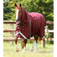 Produktbild von Premier Equine Buster Wasserdichte Outdoor-Pferdedecke mit Halsteil in Rot