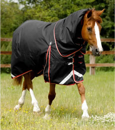 Premier Equine Buster Wasserdichte Outdoor-Pferdedecke mit Halsteil in Schwarz 175 cm – Bild 1 von 1