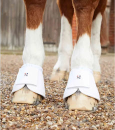 Premier Equine Carbon Wrap Over Reach Gamaschen für Pferde aus Kunstleder Weiß Größe S – Bild 1 von 5
