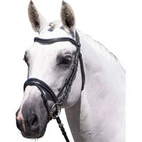 Produktbild von Premier Equine Cassano Leder-Trense für Pferde in Schwarz für Vollblut