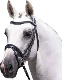 Produktbild von Premier Equine Cassano Leder-Trense in Schwarz Größe XFull