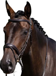 Produktbild von Premier Equine Cassano Pferdezaumzeug aus Leder für Vollblut in Braun oder Schwarz