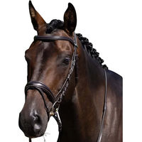 Produktbild von Premier Equine Cassano Pferdezaumzeug aus Leder für Vollblut in Braun oder Schwarz