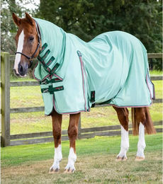 Produktbild von Premier Equine Combo Fliegendecke für Pferde in Grün
