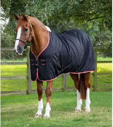 Premier Equine Cooler Buster Erfrischungsdecke für Pferde aus Polyester in Schwarz – Bild 1 von 2