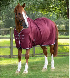 Produktbild von Premier Equine Cooler Buster Erfrischungsdecke für Pferde in Rot aus Polyester