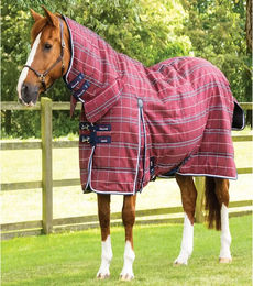 Produktbild von Premier Equine Domus Stalldecke für Pferde in Rot