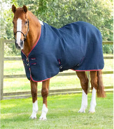 Premier Equine Dry-Tech Trocknende Decke für Pferde in Blau – Bild 1 von 4