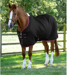 Produktbild von Premier Equine Dry-Tech Trocknende Pferdedecke in Schwarz