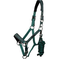 Produktbild von Premier Equine Duco Nylonhalfter für Ponys in Grün