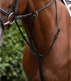 Premier Equine European Running Martingal für Pferde aus Leder in Schwarz – Bild 1 von 1