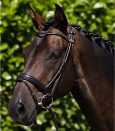Produktbild von Premier Equine Finetti Trense aus Leder in Braun Größe XFull