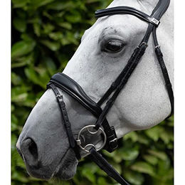 Premier Equine Flanschpfostenpaar Schwarz – Bild 1 von 2
