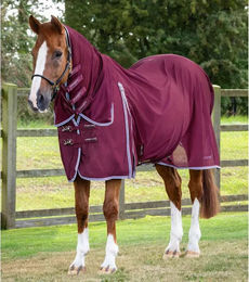 Premier Equine Fliegendecke Combo Mesh Air Fly Rug mit Kreuzgurt 6'6'' Wine Rot – Bild 1 von 5