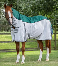 Produktbild von Premier Equine Fliegendecke für Pferde mit Übergurten in Grün