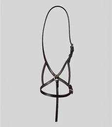 Premier Equine Fohlenhalfter aus Leder – Bild 1 von 1