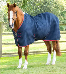 Produktbild von Premier Equine Führanlagendecke aus Nylon in Blau