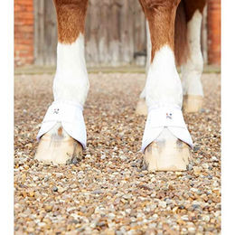 Premier Equine Gamaschen Ballistic Weiß für Pferde – Bild 1 von 4
