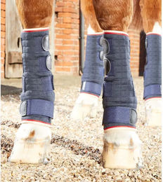 Premier Equine Gamaschen für Pferde in Blau Größe L – Bild 1 von 5