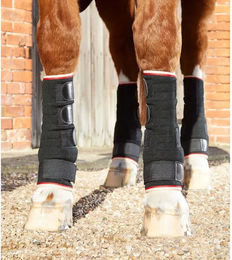 Premier Equine Gamaschen für Pferde Schwarz Größe M – Bild 1 von 5