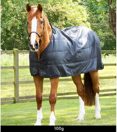 Premier Equine Gefütterte Unterdecke Schwarz – Bild 1 von 1