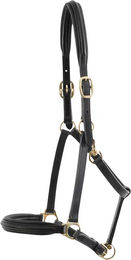 Produktbild von Premier Equine Gepolstertes Lederhalfter Schwarz