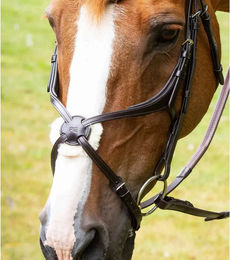 Produktbild von Premier Equine Glorioso Mexican Gekreuztes Reithalfter aus Leder