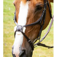 Produktbild von Premier Equine Glorioso Mexican Gekreuztes Reithalfter aus Leder