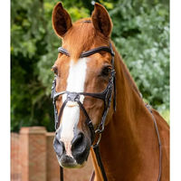 Produktbild von Premier Equine Glorioso Reithalfter aus Leder mit gekreuztem Reithalfter