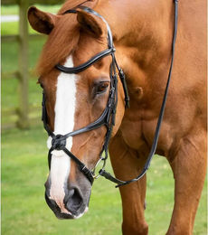 Premier Equine Glorioso Reithalfter aus Leder mit gekreuztem Reithalfter für Ponys in Schwarz – Bild 1 von 5
