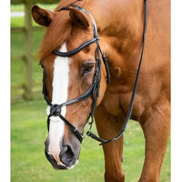 Produktbild von Premier Equine Glorioso Reithalfter aus Leder mit gekreuztem Reithalfter für Ponys in Schwarz