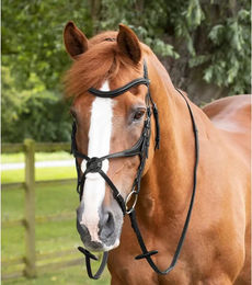 Produktbild von Premier Equine Gummizügel für Pferde in Schwarz