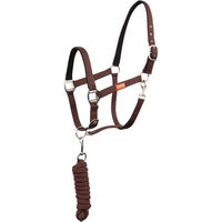 Produktbild von Premier Equine Halfter und Longiergurt Set aus Kunstleder für Pferde in Braun