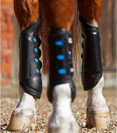 Premier Equine Hintere Gamaschen für Pferde Air Cooled Original Eventing aus Kunstleder Schwarz XS – Bild 1 von 3