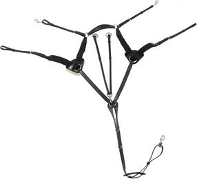 Produktbild von Premier Equine Invorio Vorderzeug für Pferde aus Leder in Schwarz