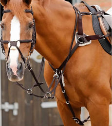 Premier Equine Invorio Vorderzeug für Pferde aus Leder in Schwarz oder Braun – Bild 1 von 3