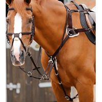 Produktbild von Premier Equine Invorio Vorderzeug für Pferde aus Leder in Schwarz oder Braun