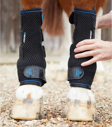 Premier Equine Kaltwasserkompressionsgamaschen für Pferde Schwarz XL – Bild 1 von 7