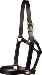 Premier Equine Lederhalfter für Fohlen in Braun oder Schwarz – Bild 1 von 1