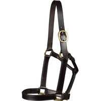 Produktbild von Premier Equine Lederhalfter für Fohlen in Braun oder Schwarz