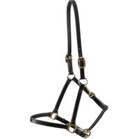 Produktbild von Premier Equine Lederhalfter für Pferde in Braun oder Schwarz