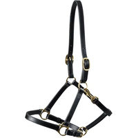 Produktbild von Premier Equine Lederhalfter für Pferde in Schwarz