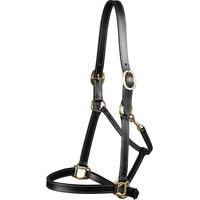 Produktbild von Premier Equine Lederhalfter für Pferde in Schwarz Full