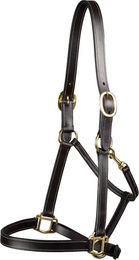 Premier Equine Lederhalfter für Pferde und Ponys – Bild 1 von 1