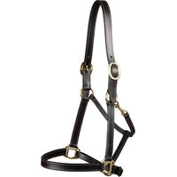 Produktbild von Premier Equine Lederhalfter für Pferde und Ponys