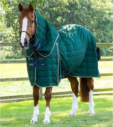 Produktbild von Premier Equine Lucanta Stalldecke mit Halsteil aus Polyester in Grün